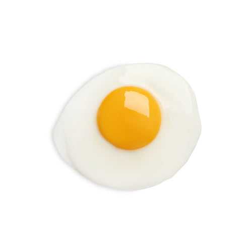 Egg