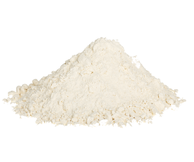 protein powder