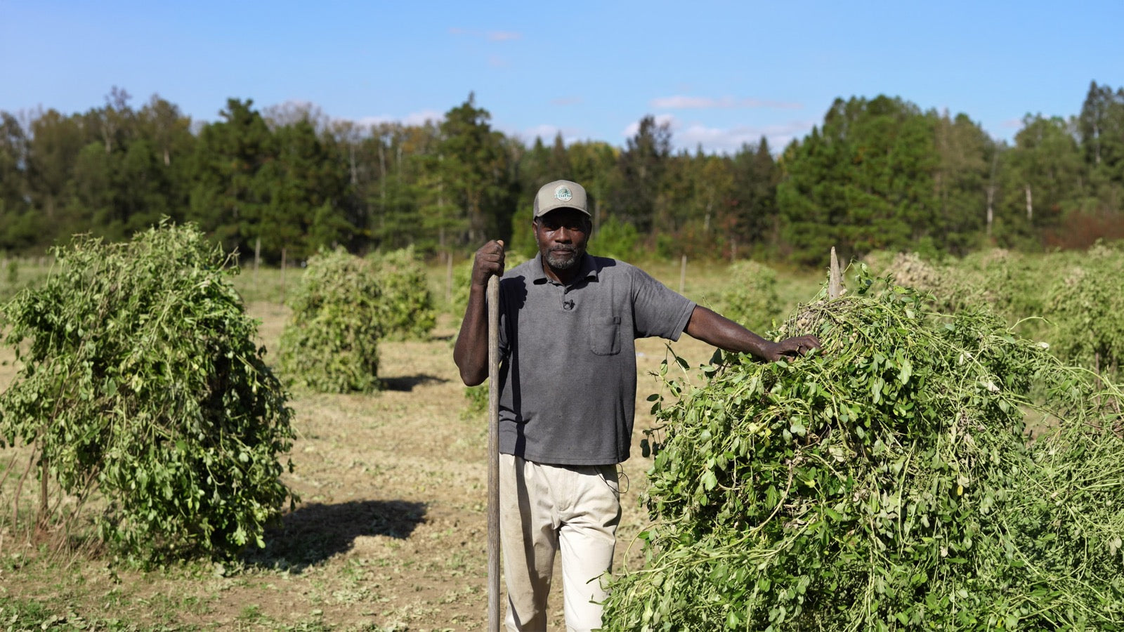 Supporting local peanut farmers.